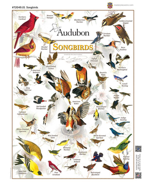 Audubon - Songbirds 1000 Piece Puzzle