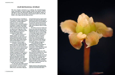 Botanical Bible
