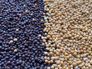 Spicewalla - Mustard Seed, Yellow