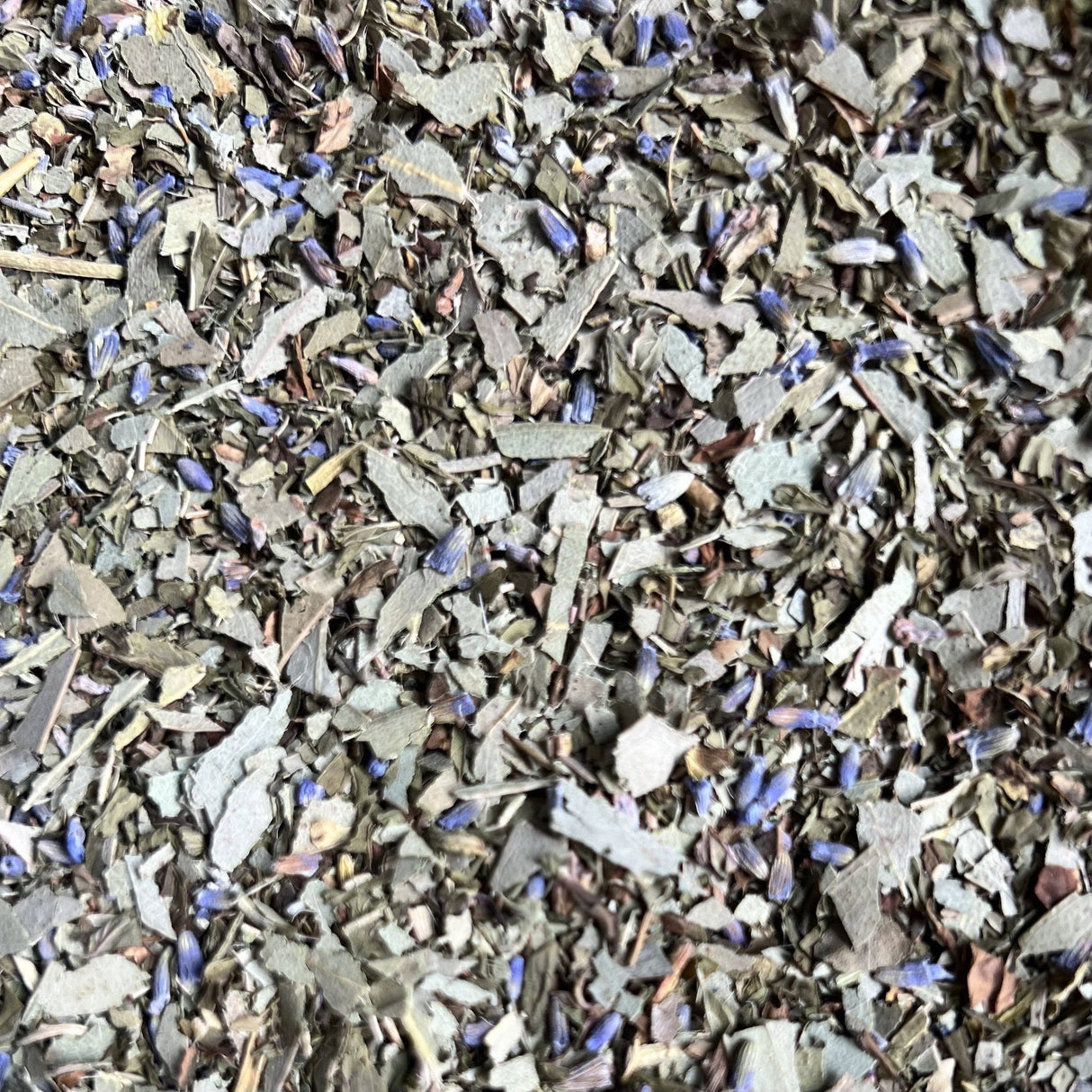 Tootsie's Tea - Minted Lavender Tea Jar