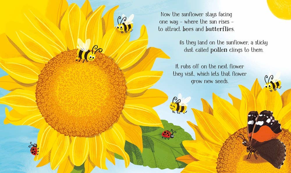 One Little Seed board book : Usborne