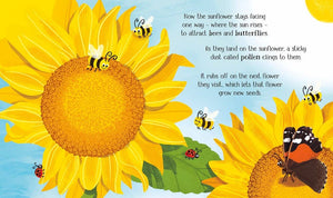 One Little Seed board book : Usborne