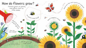 First Questions and Answers: How do flowers grow?