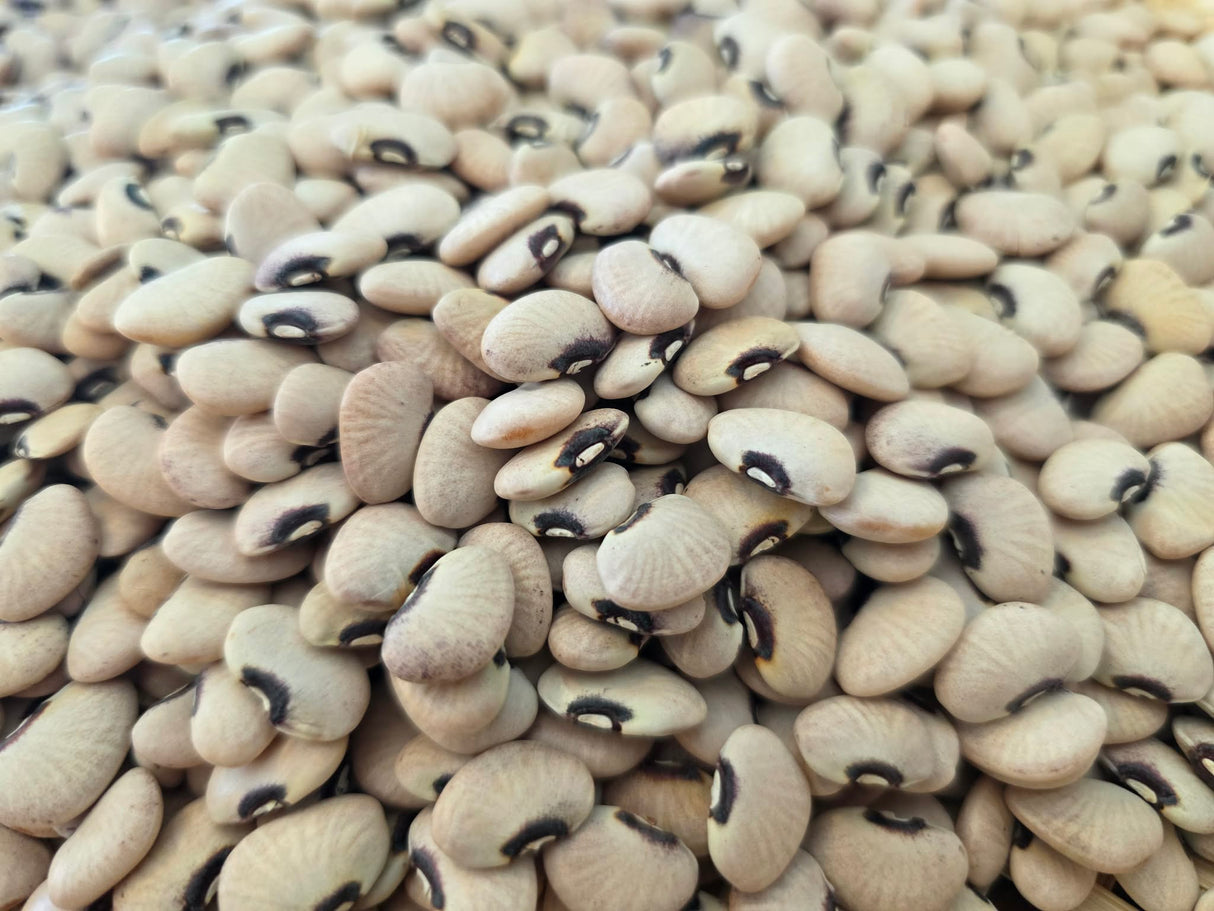 Bean Seeds - Pole - Lima - Alabama Blackeyed Butterbean