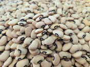 Bean Seeds - Pole - Lima - Alabama Blackeyed Butterbean
