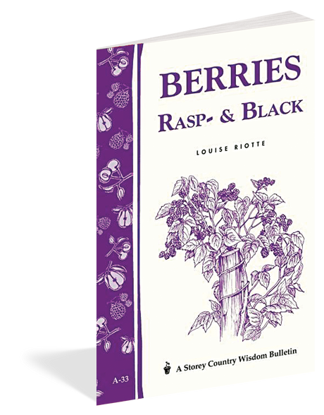 Berries, Rasp- & Black