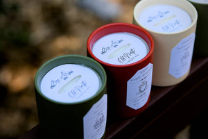Pumpkin Caramel - 12 oz. Ceramic Soy Blend Candle