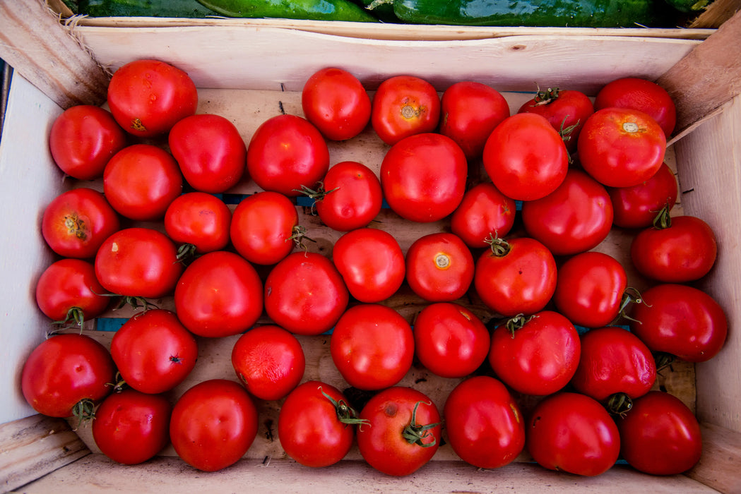 Tomato Seeds - Manitoba Heirloom
