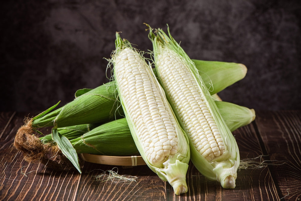 Corn Seeds - Sweet - Silver King