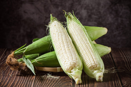 Corn Seeds - Sweet - Silver King