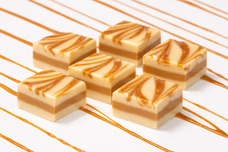 Caramel Vanilla Swirl Fudge 6-Pack Countertop Refill