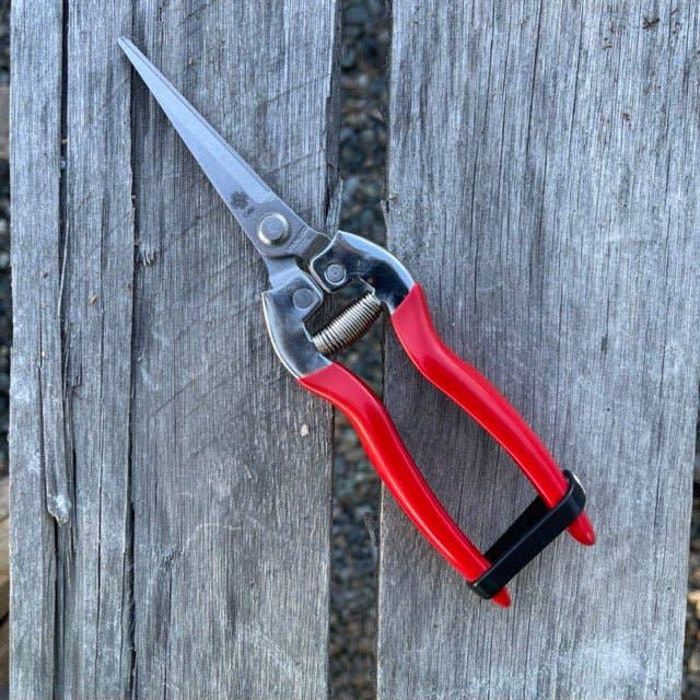 Garden Micro Tip, Needle Nose Pruners - 3" Stainless Blade