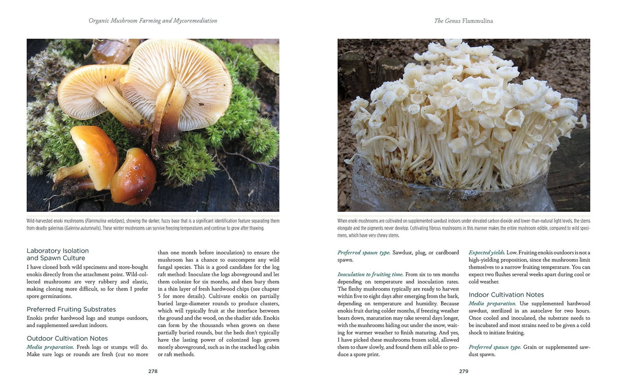 Microcosm Publishing & Distribution - Organic Mushroom Farming and Mycoremediation