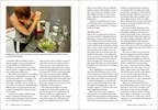 Southeast Medicinal Plants : Identify, Harvest, and Use