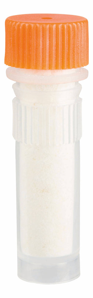 Beetle & Bee Bird Call -  Certified, Outdoor Play