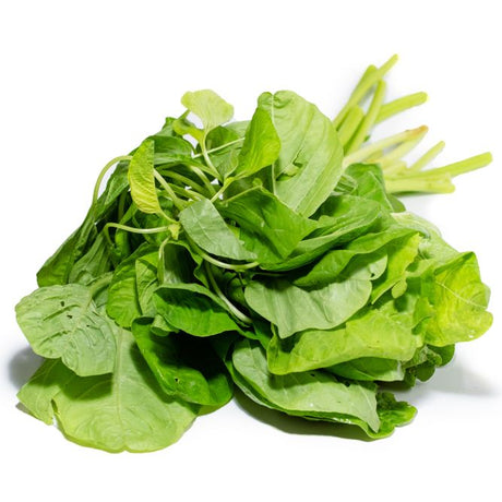 Amaranth Seeds - White Leaf - Alliance of Native Seedkeepers - Vegetable Seeds