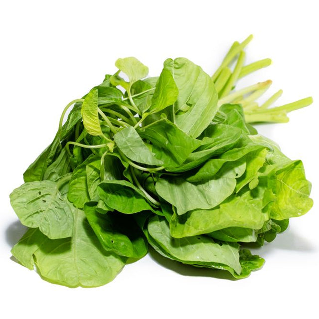 Amaranth Seeds - White Leaf - Alliance of Native Seedkeepers - Vegetable Seeds