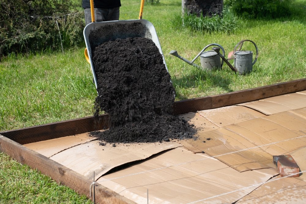 Wheelbarrow tipping compost over cardboard inside a new garden bed