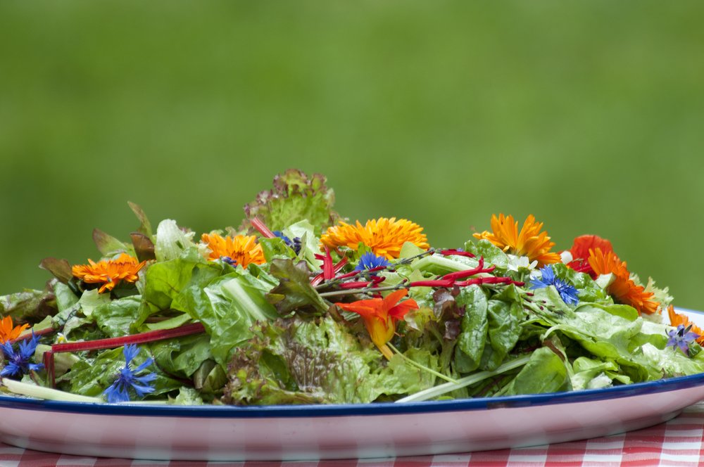 Leafy salad garnished with calendula and blue edible flowers