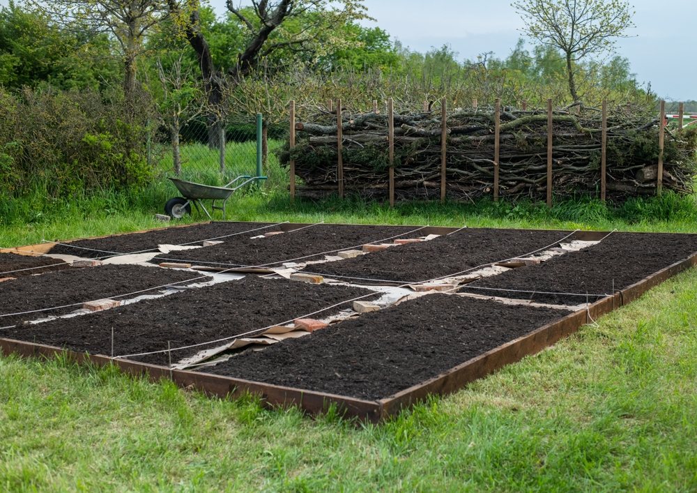 Garden beds covered with cardboard and compost during bed preparation