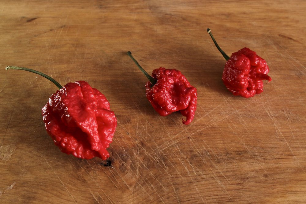 Three wrinkled red superhot peppers on a wooden surface