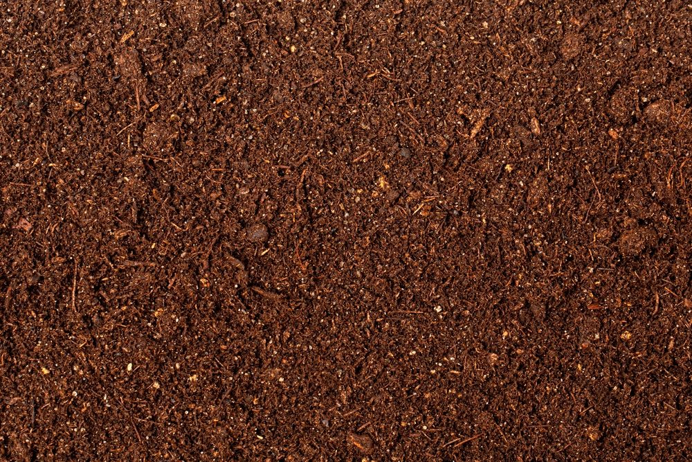 Close view of fine fibrous peat or coir based growing medium
