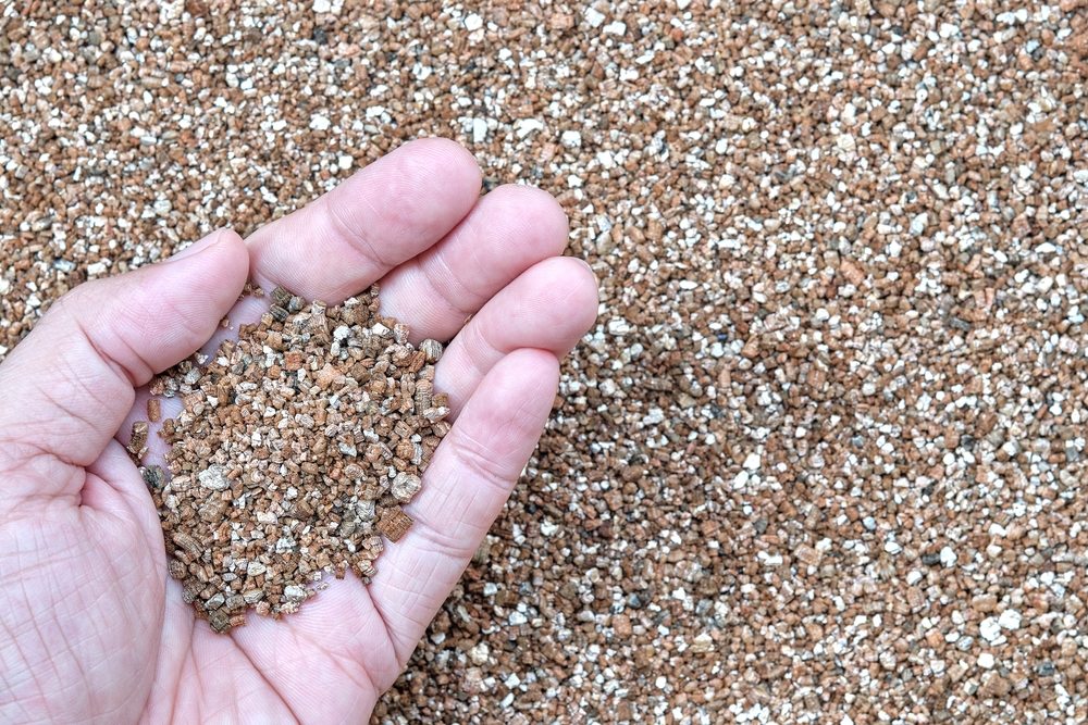 Hand holding horticultural vermiculite above a larger pile