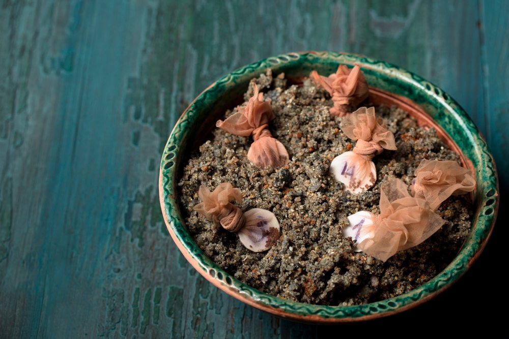 Small seed packets or bundles resting in moist sand for stratification