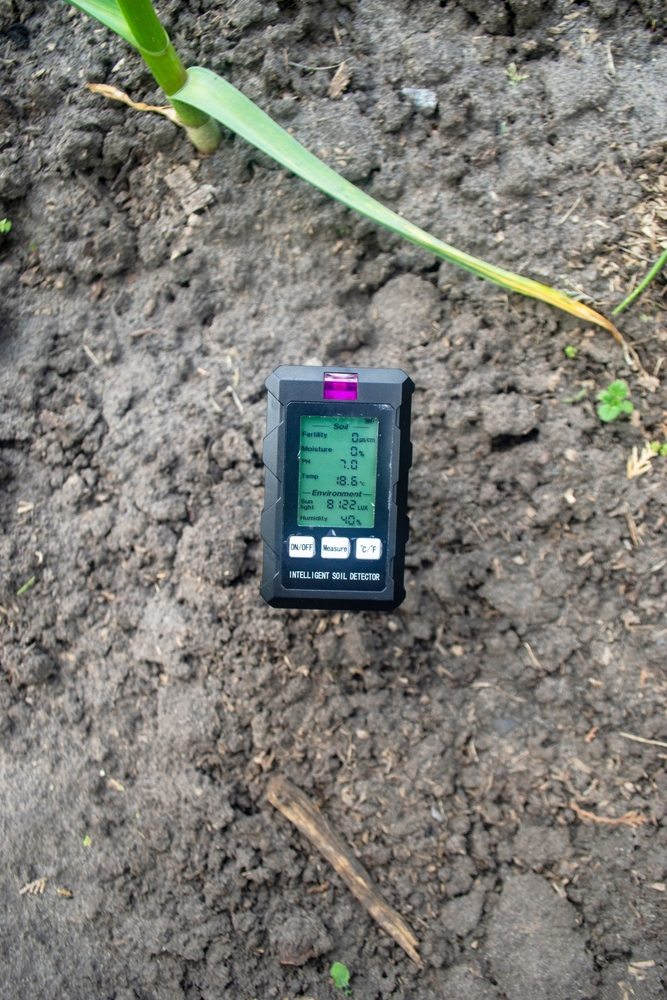Digital soil meter measuring soil temperature and moisture in a garden bed
