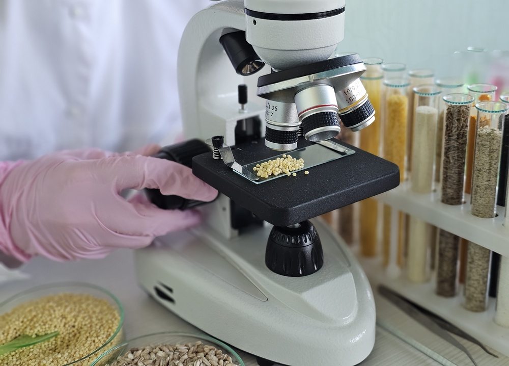 Laboratory technician inspecting seeds under a microscope with seed samples nearby