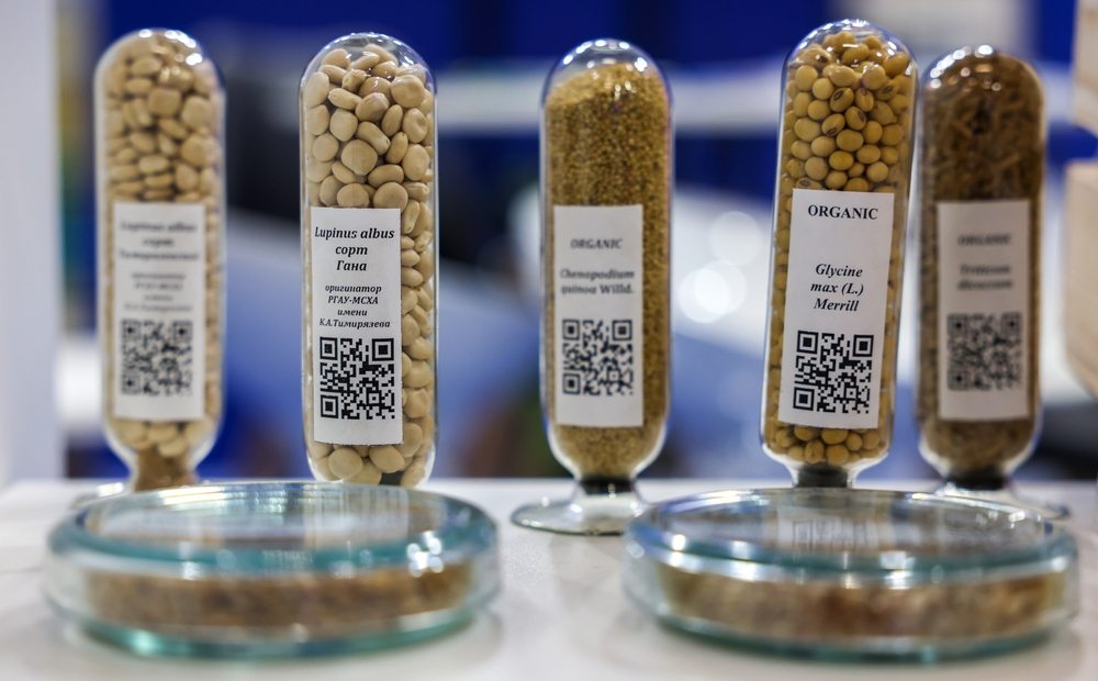 Labeled seed samples stored in clear laboratory tubes beside petri dishes