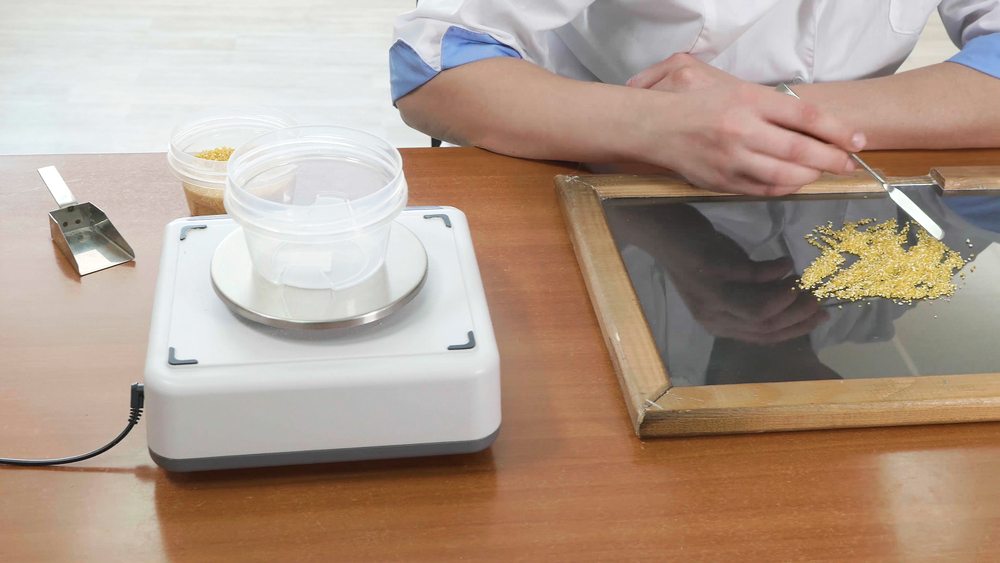 Seed laboratory worker weighing and separating a measured seed sample