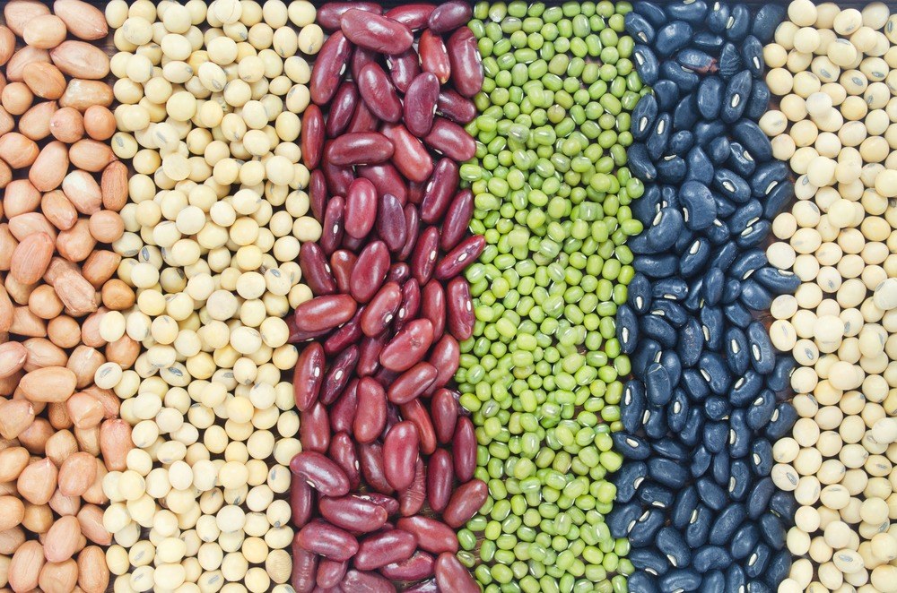 Assortment of legume and grain seeds showing differences in crop identity