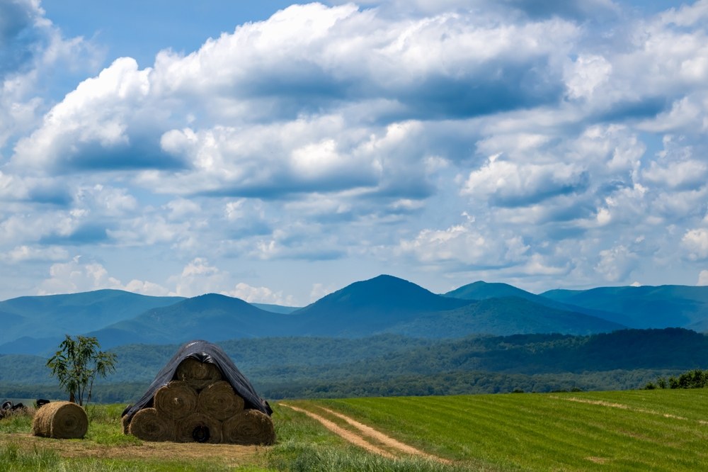 Rural Virginia farmland showing open fields and Blue Ridge terrain