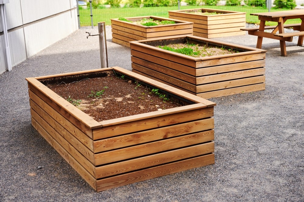 Young plants growing in raised beds within an urban garden