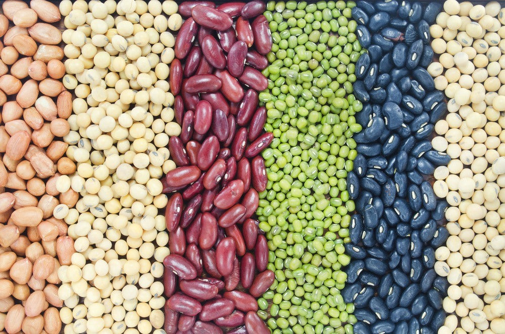 Dry cowpeas and beans arranged by color and size