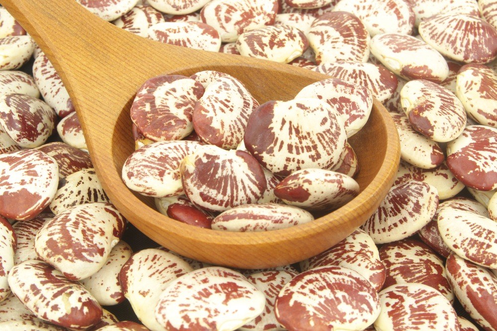Speckled Christmas lima beans surrounding a wooden spoon