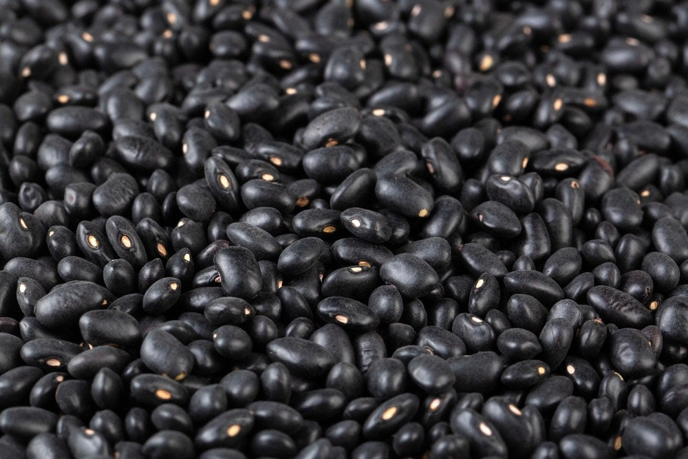 Mature black bean seed after the pods have dried