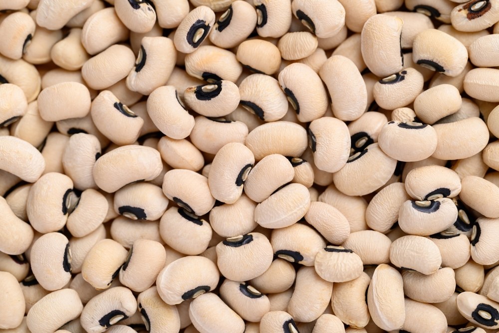 Dry black-eyed peas showing the mature seed stage