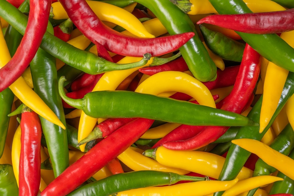 Mixed peppers at green, yellow, and red harvest stages