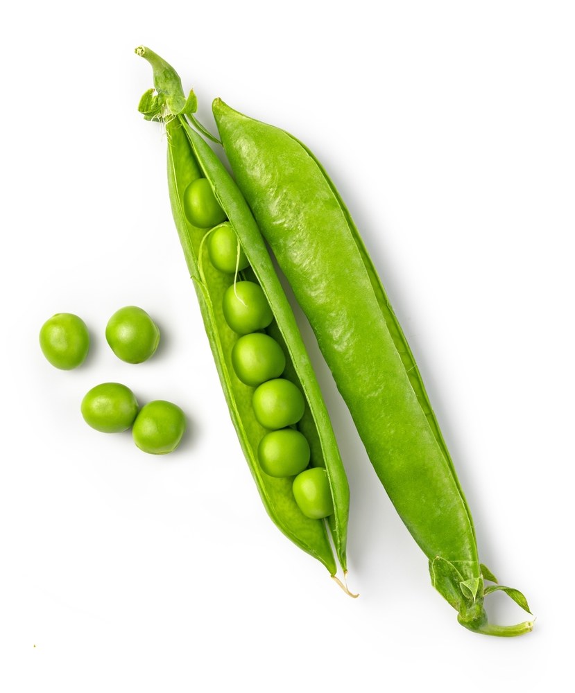 Open shelling-pea pod with round peas visible