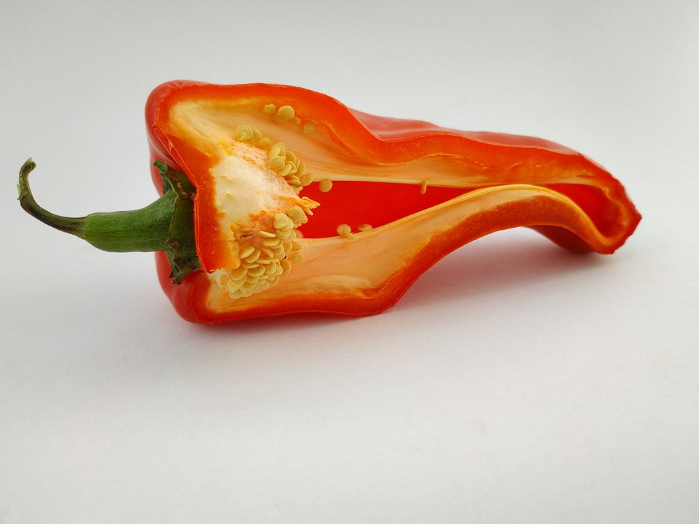 Cut red pepper showing wall, placenta, and seeds
