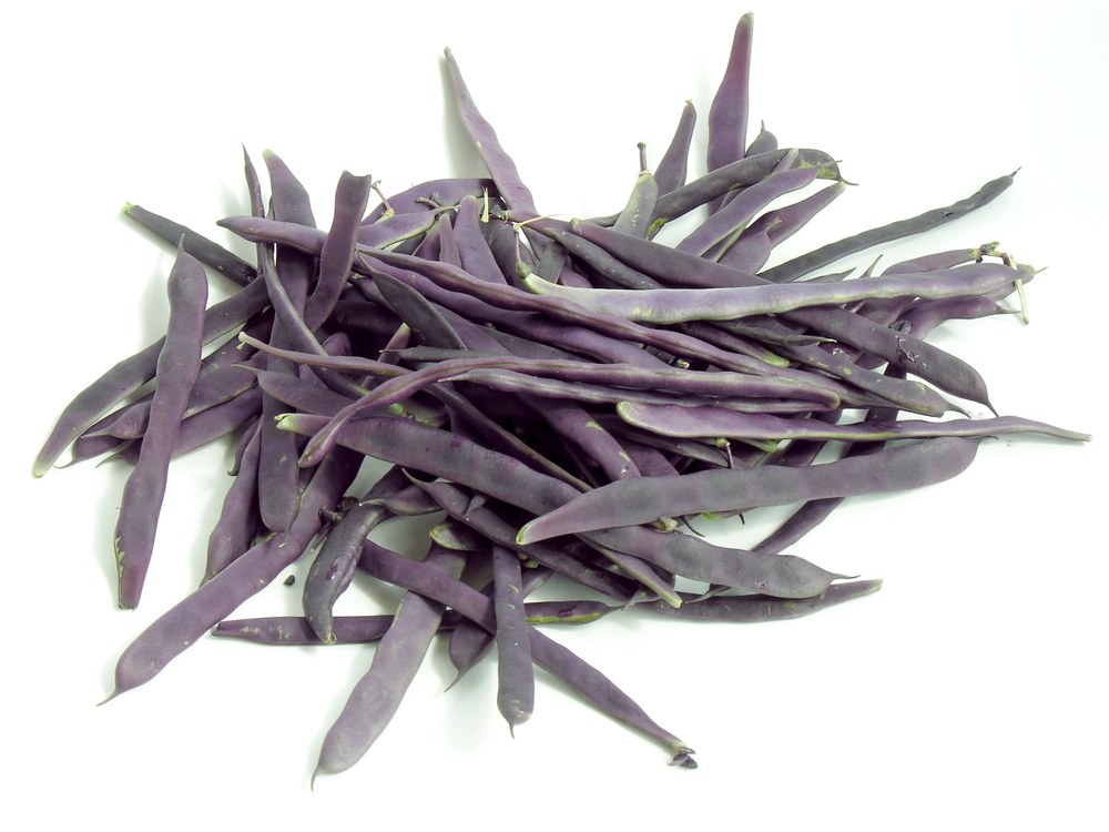 Harvested purple-podded beans on a clean background