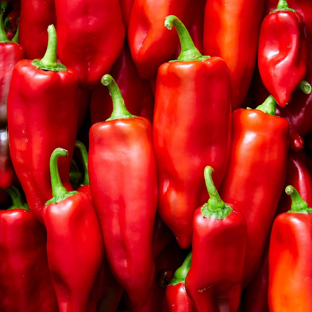 Ripe elongated red peppers