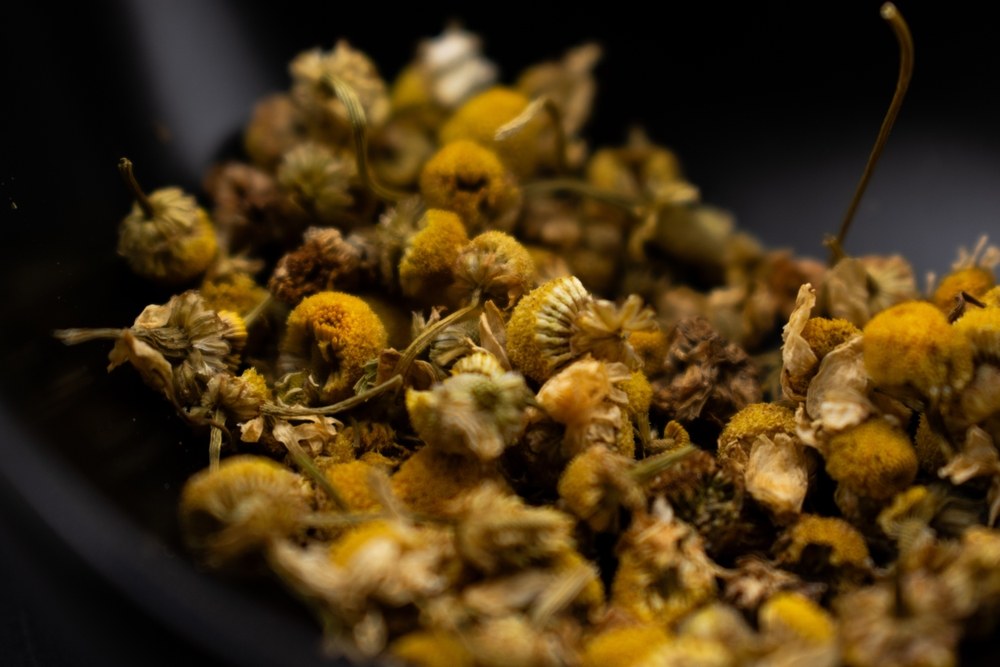 Dried chamomile flower heads ready for storage