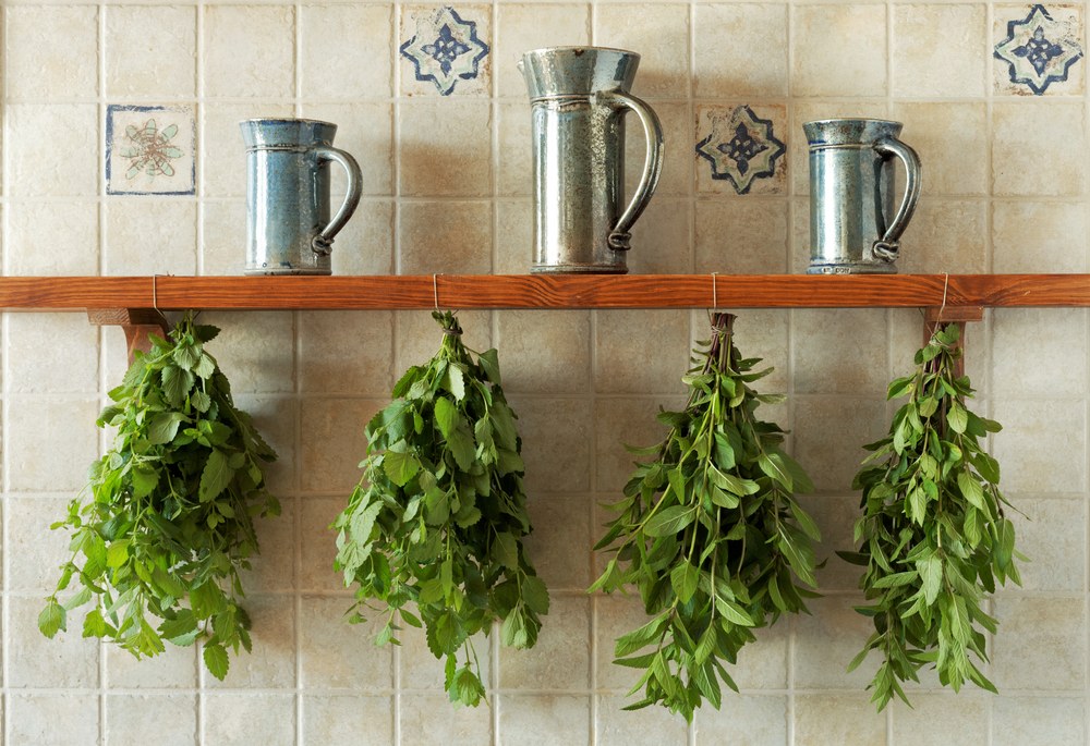 Bundles of mint and lemon balm hanging to dry indoors