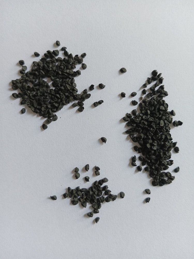 Black onion seeds on a white background
