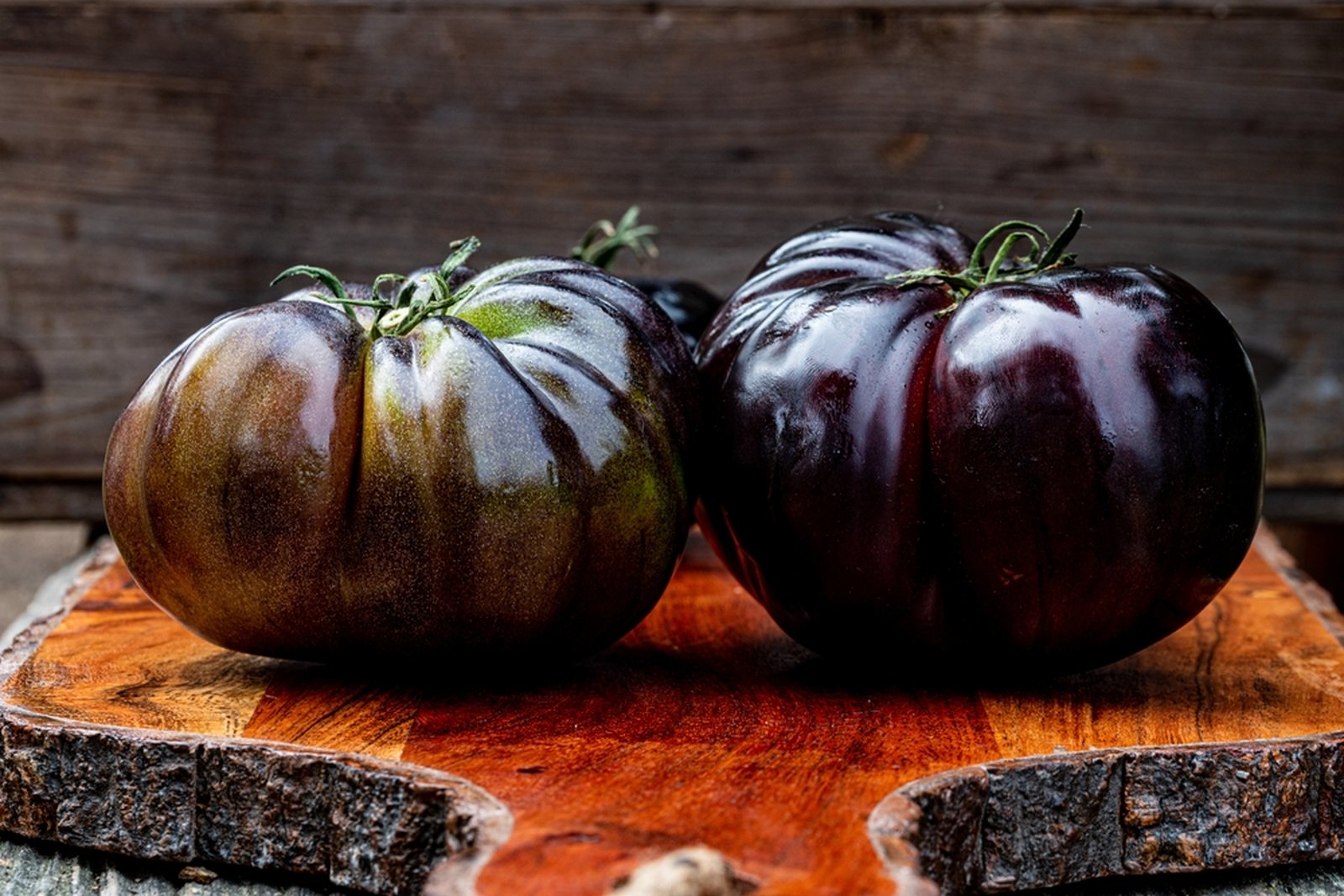 Two dark ribbed tomatoes with different green and purple shoulder patterns