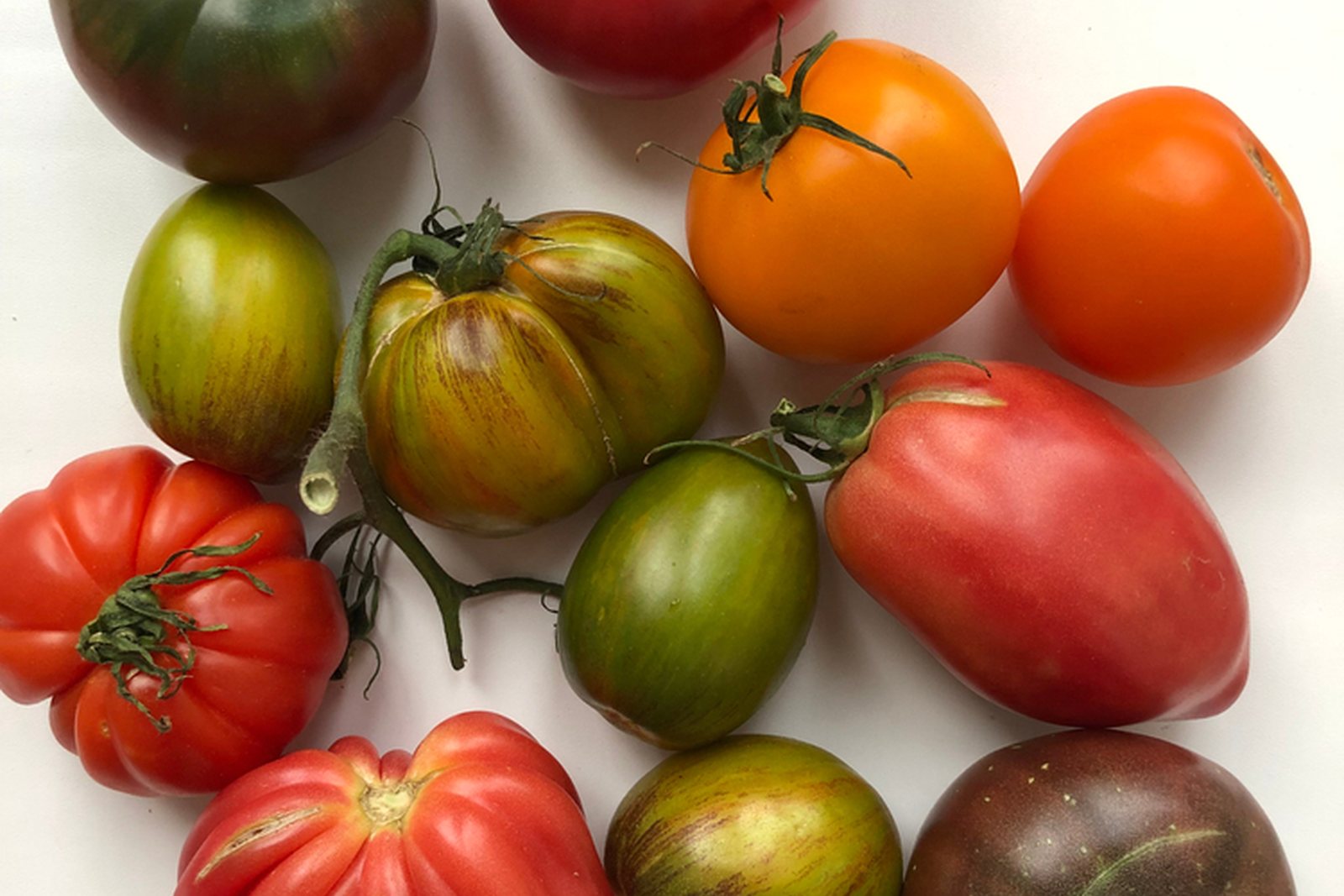 An assortment of red, pink, orange, green, and dark tomatoes on white