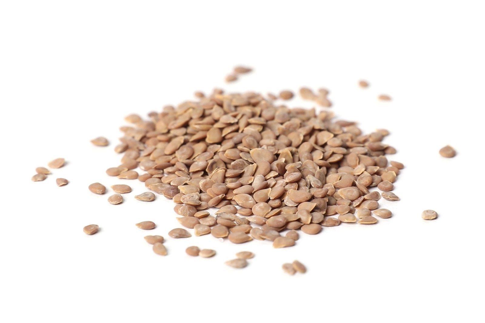 A pile of cleaned dry tomato seeds on a white background